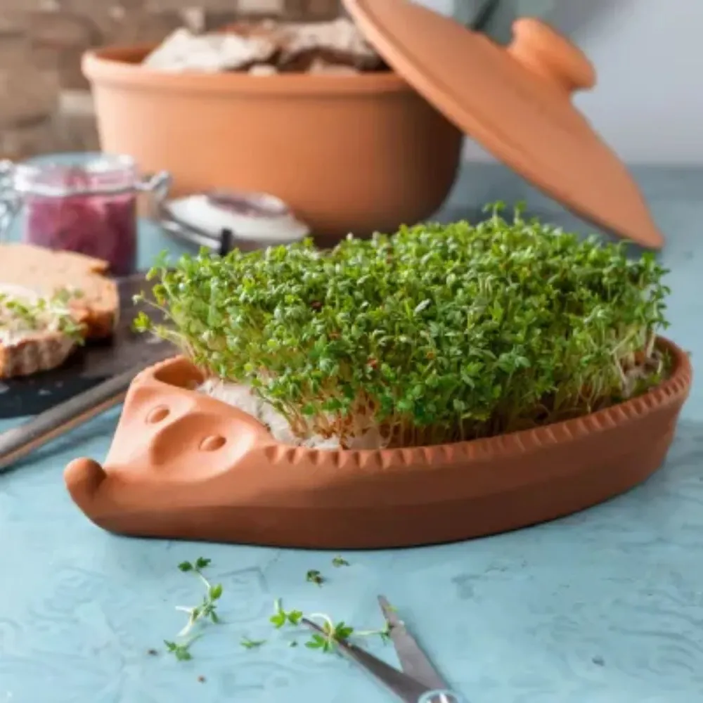 Germinador para sementes de terracota Römertopf