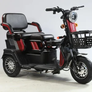 Triciclo elétrico mobilidade