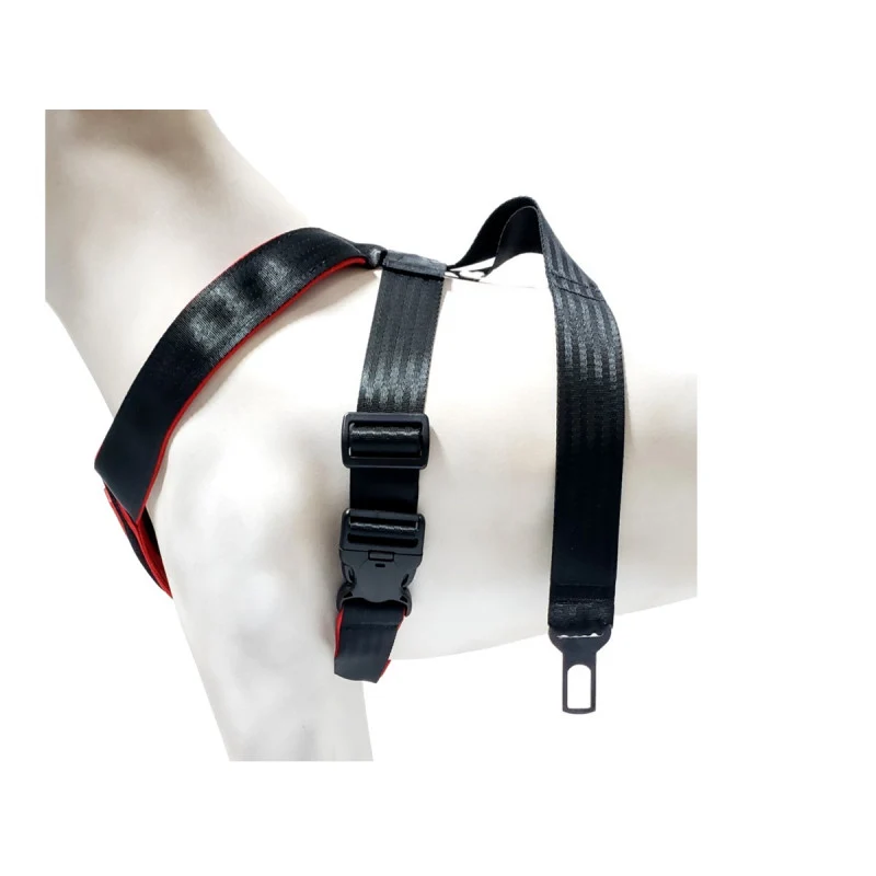 K9 Spirit Peitoral com Cinto de Seguranç P