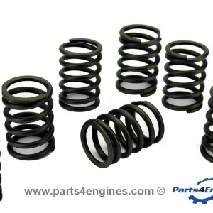 Conjunto de molas de válvulas Volvo Penta D2-50F (3580964)