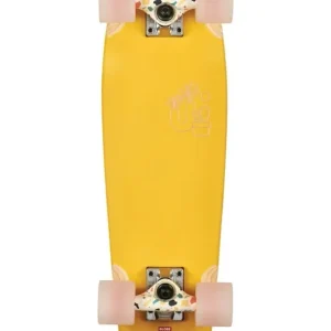 Blazer 26 Cruiser Completo