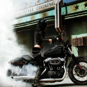Fuelpak Vance & Hines modelos Harley Davidson HD Sportster Iron 883