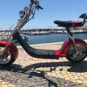 Mota Elétrica Chopper Scooter