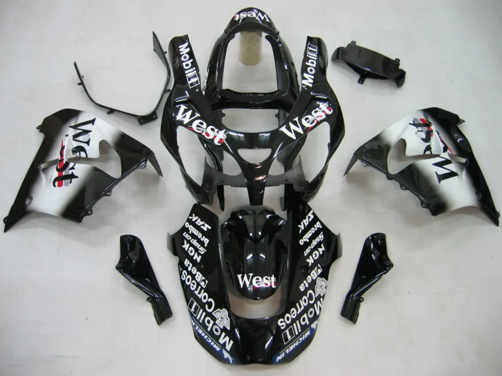 2000-2001 KAWASAKI NINJA ZX9R FAISING KIT Amotopart