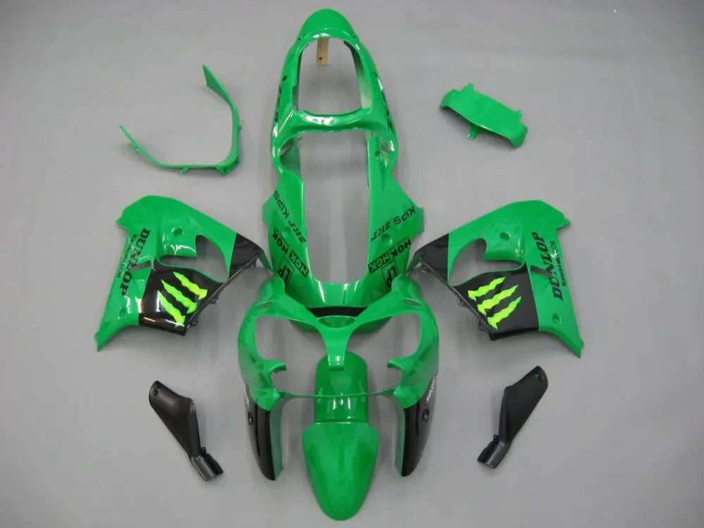 2000-2001 KAWASAKI NINJA ZX9R FAISING KIT Amotopart