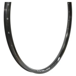 Aro Absolute Wild Tl 29er 32f Disc Preto Alumínio