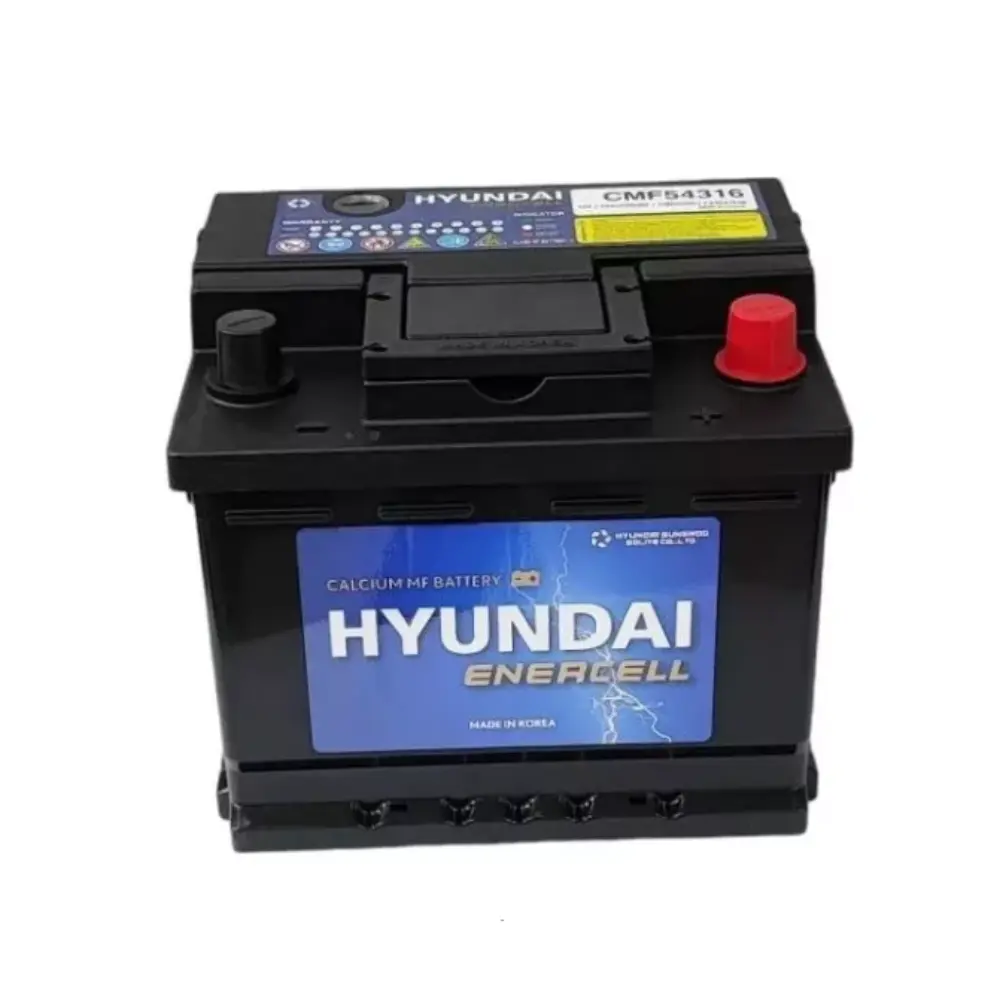 Bateria Auto 43ah 12v 54316 Borne Grande Positivo Derecho AutoRepuestos CF