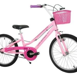 Bicicleta Infantil Aro 20 Feminino Lilás Nathor