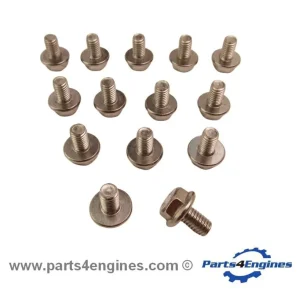 Conjunto de parafusos de cárter Volvo Penta D1-13