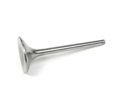 EXHAUST VALVE 07