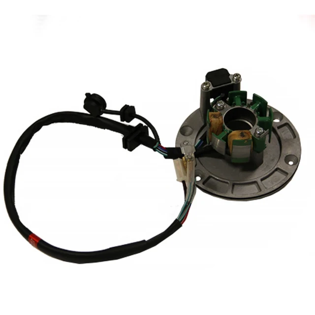 Ignição completa motor Pitbike 125-G-02 Zongshen