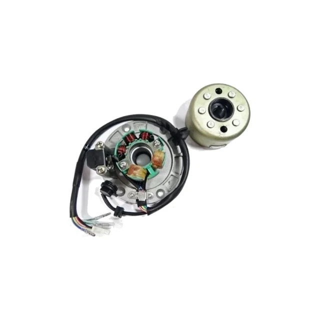 Ignição Pitbike ZS155 ZS190 retificado 21mm