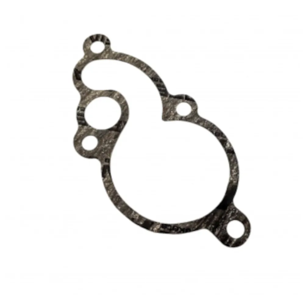 Junta da tampa da bomba de água Gas Gas EC 125-250-300
