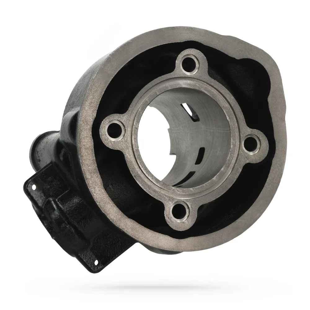 Kit cilindro e cambota Polini Ferro 80cc Minarelli AM6