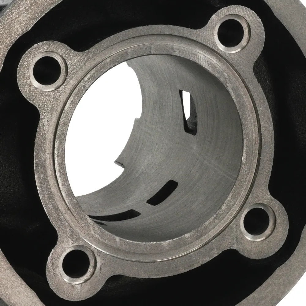 Kit cilindro e cambota Polini Ferro 80cc Minarelli AM6