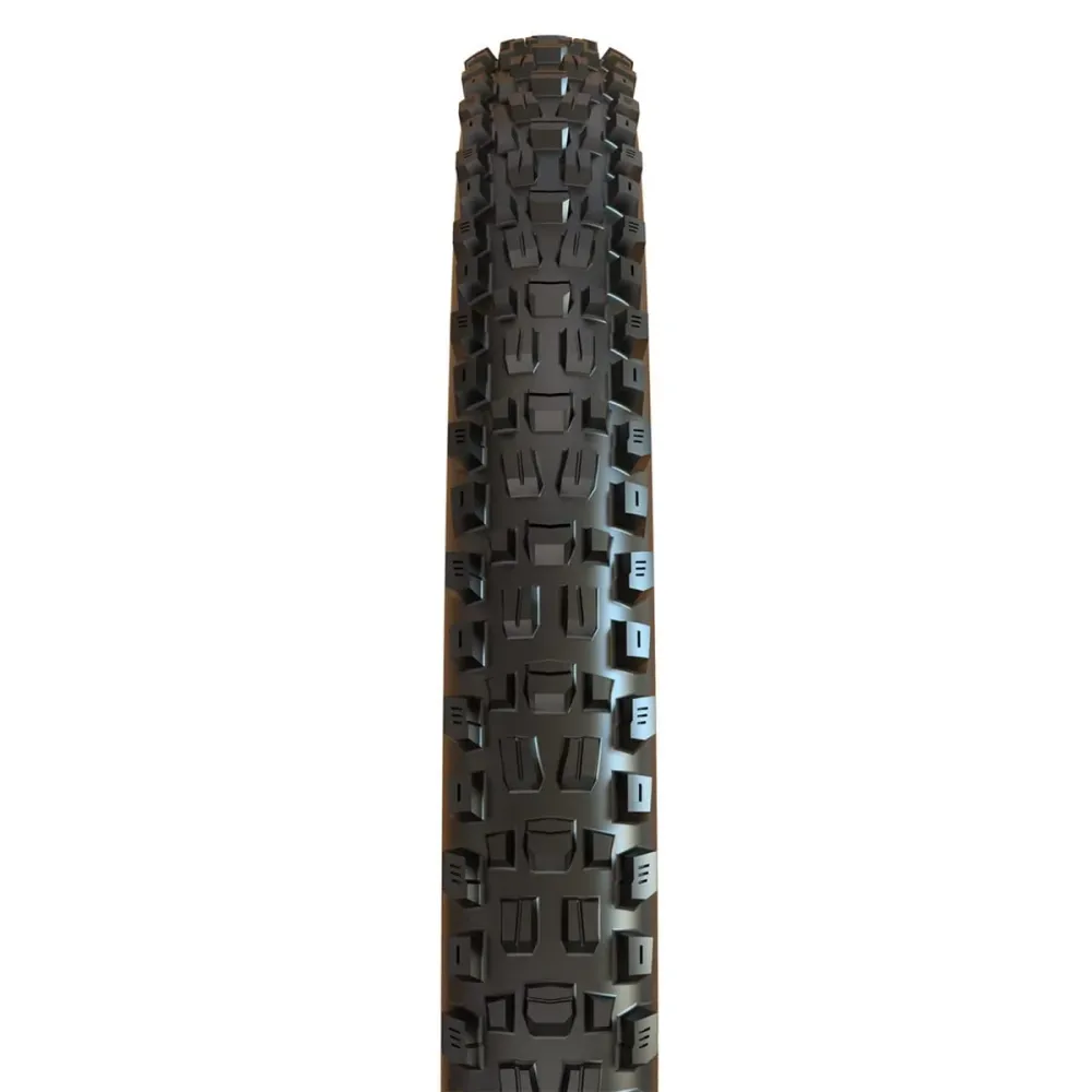 Maxxis Assegai Tire 29x2.50 WT Bikepark DH Rigide Ready Rigide noir
