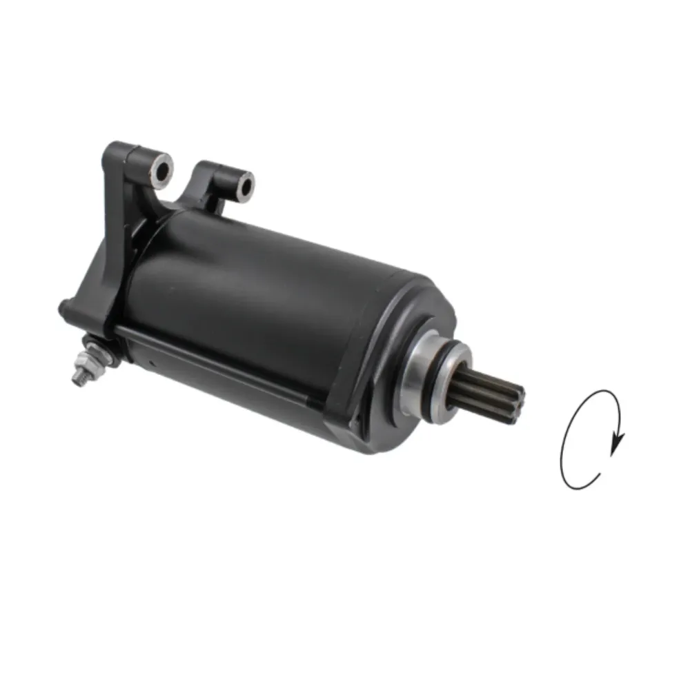Motor de arranque BMW R 1200 GS LC RMS