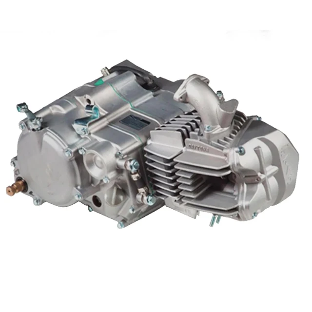 Motor completo Pitbike Daytona Anima 190FDX