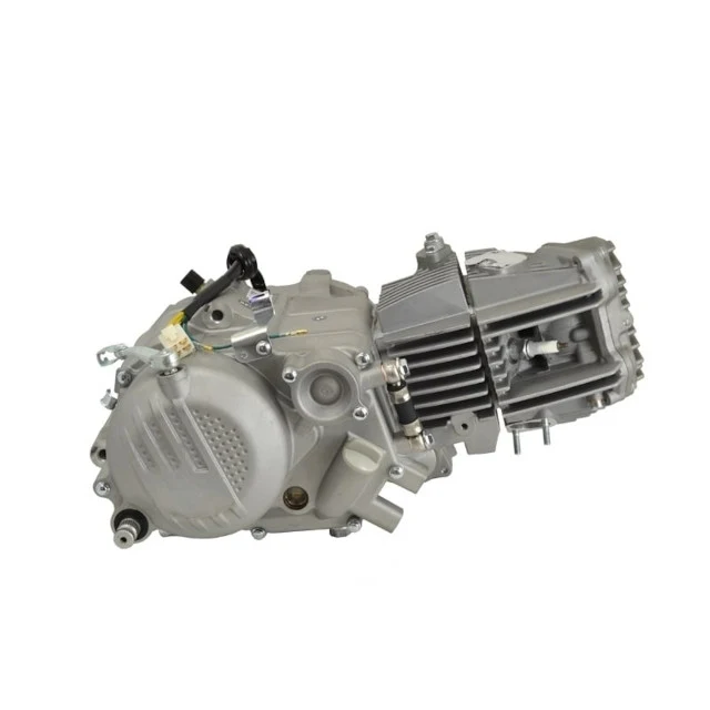 Motor ZS212 Zongshen prata Pitbike AllPro