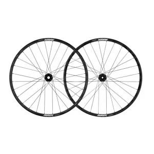 Par de rodas MAVIC DEEMAX DH 29" 20x110mm/12x148mm Boost