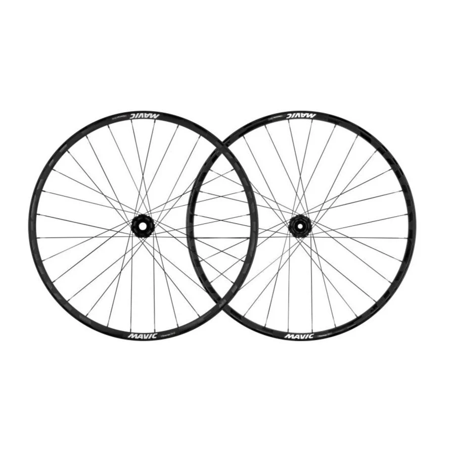 Par de rodas MAVIC DEEMAX DH 29" 20x110mm/12x148mm Boost