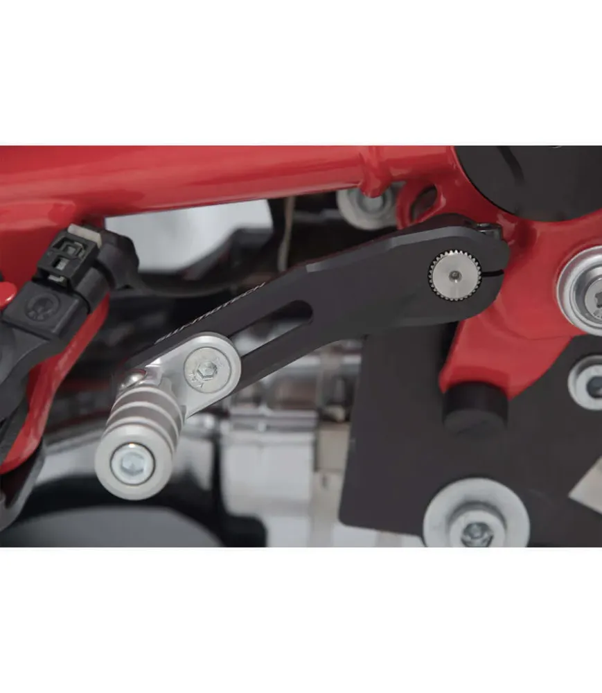 Pedal de Câmbio Ajustável para BMW R nineT (20-24)