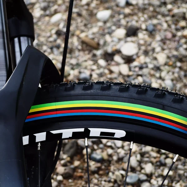 Pneu VITTORIA MEZCAL XC 29X2.10 "UCI Rainbow Edition" Tubeless Ready Soft Black