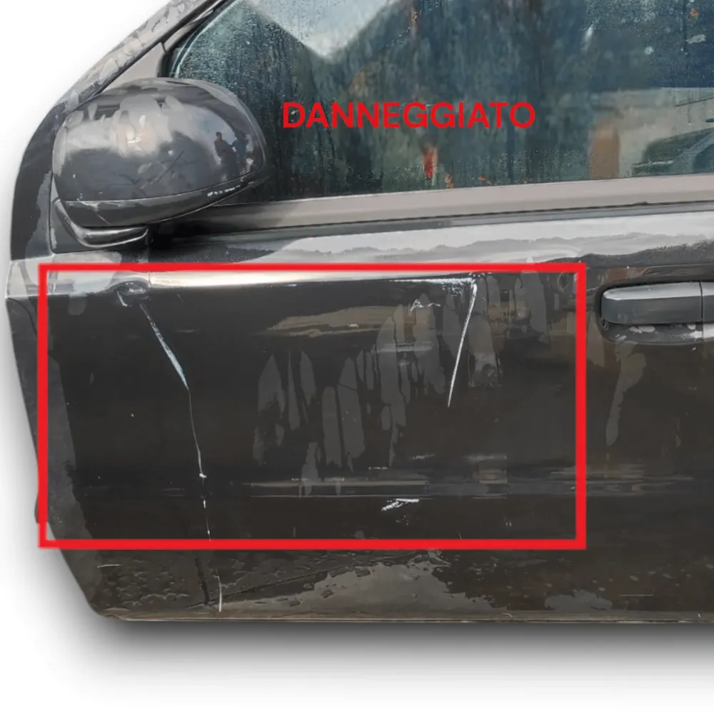 Porta da frente esquerda Fiat Panda 169 (2003-2012)