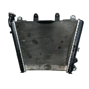 Radiador de líquido refrigerante bmw s1000r (2021 > 2024)