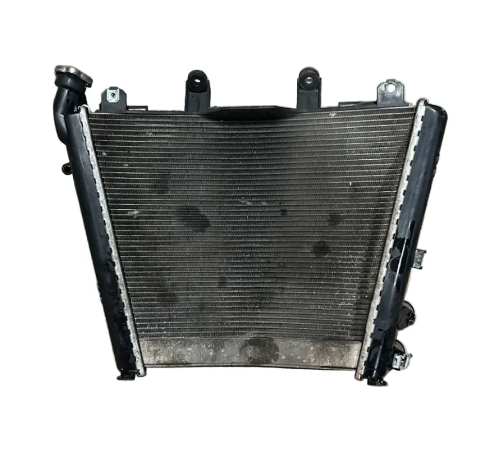 Radiador de líquido refrigerante bmw s1000r (2021 > 2024)