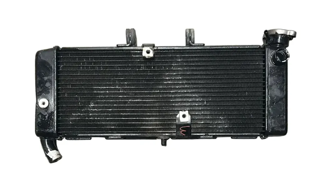 Radiador de líquido refrigerante honda xadv 750 (2018 > 2020)