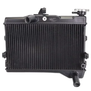 Radiador Yamaha MT 07 15-21 TNT