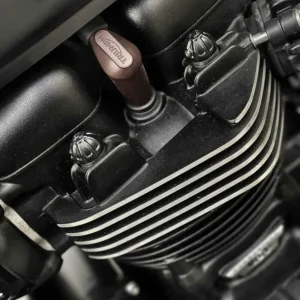 Tampas de Extremidade dos Cilindros para Triumph desde 2016