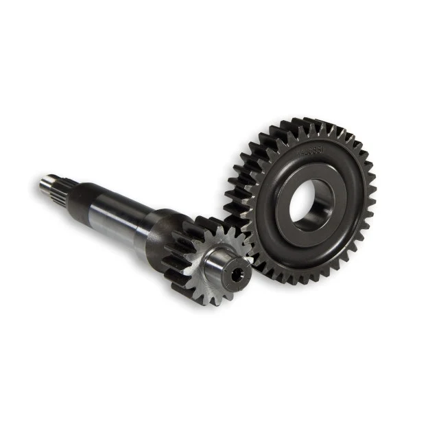 Transmissão primária Piaggio Zip 50cc 2T 16/37 d=17mm Malossi