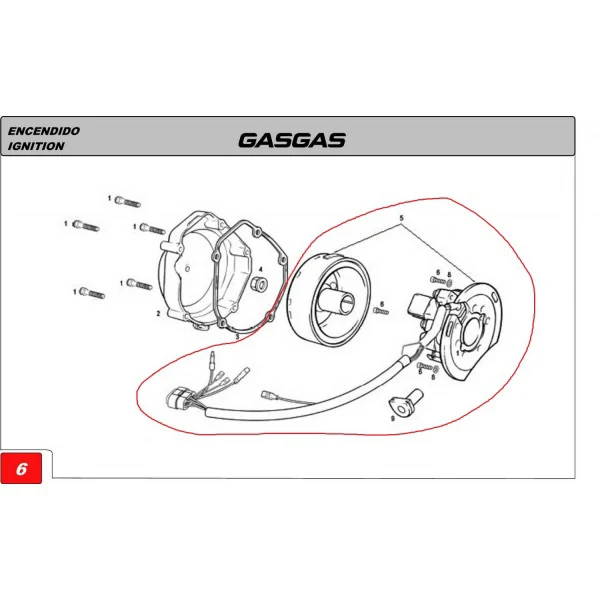 Volante Magnético GAS GAS FP8049