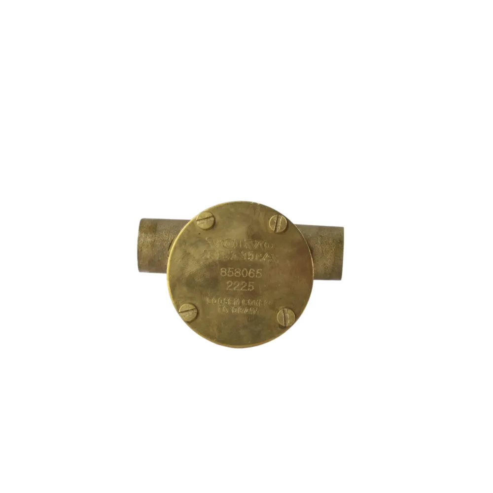 Volvo Penta MD1B Raw Water Pump 858065