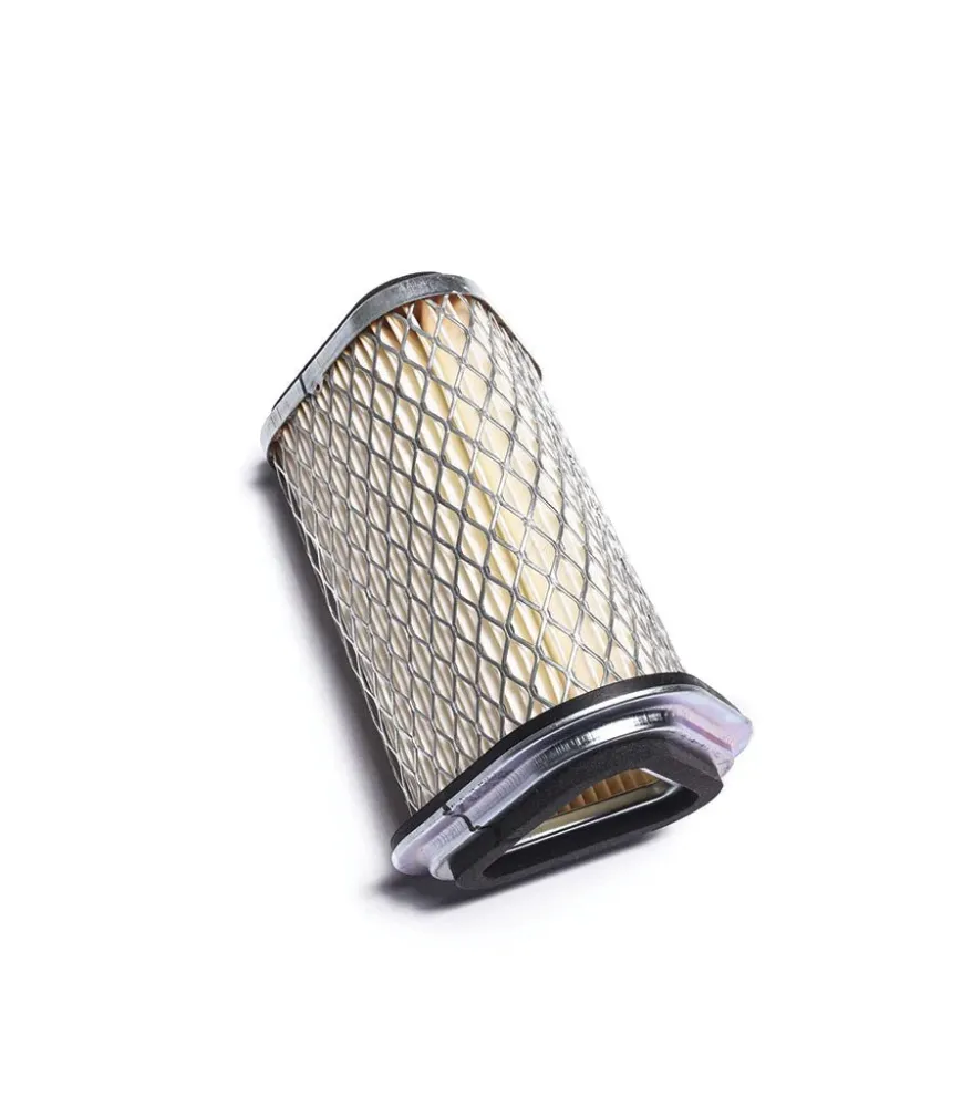 Filtro de Ar para Interceptor / Continental GT / Bear 650 - Peç de substituição original