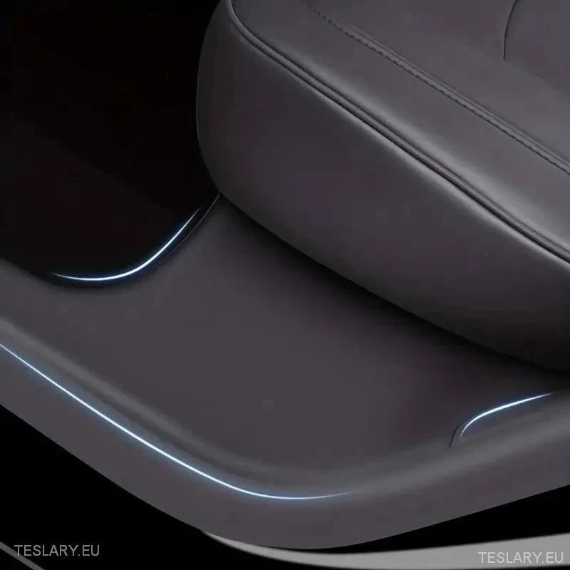 Tesla y Solas de proteção plástica da porta traseira (2 peças)