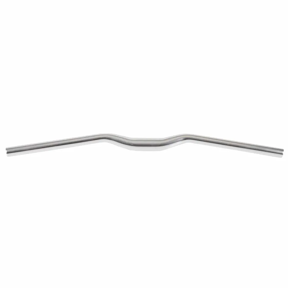 Cabide RITCHEY CLASSIC 10D Flat 660mm Prata