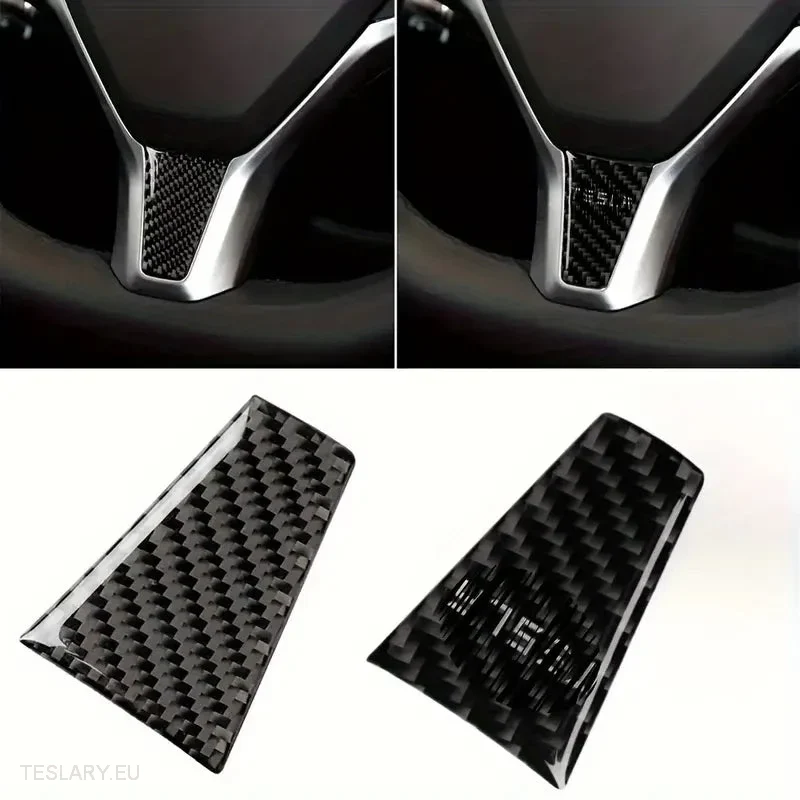 Tesla s/x Fibra de carbono