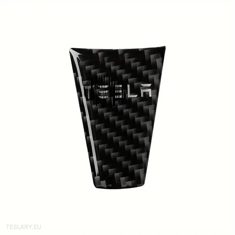 Tesla s/x Fibra de carbono