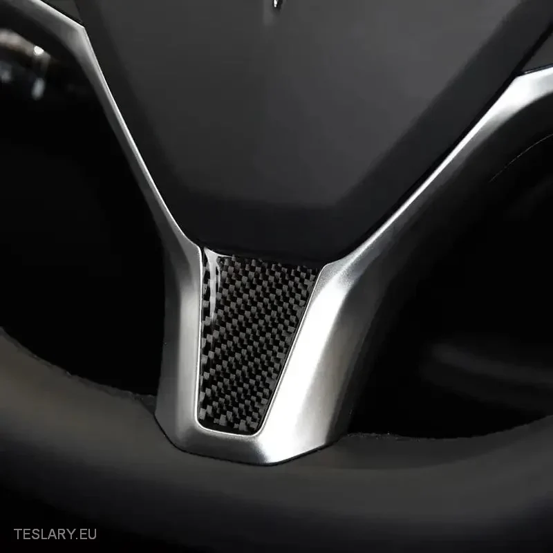 Tesla s/x Fibra de carbono