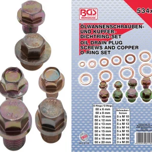 ASSORTIMENTO 534 PEZZI, VITI PER TAPPO DI SCARICO OLIO E O-RING BGS8118