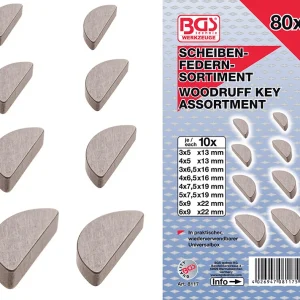 ASSORTIMENTO 80 PEZZI, CHIAVETTE DISCO BGS8117