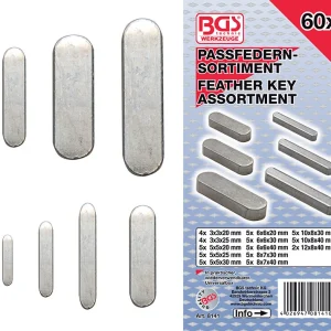 ASSORTIMENTO 60 PEZZI, CHIAVETTE PARALLELE BGS8141