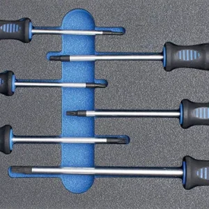 MODULO PER CARRELLO: 6 PEZZI, CACCIAVITI TORX TX15-TX40 BGS4078