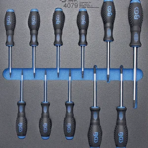 MODULO PER CARRELLO: 11 PEZZI, CACCIAVITI TORX TX6-TX40 BGS4079