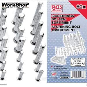 Set 60 perni di fissaggio Bgs Fermec BGS8137