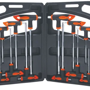SET 16 PEZZI, CHIAVI MASCHIO ESAGONALI E TORX CON IMPUGNATURA BGS90