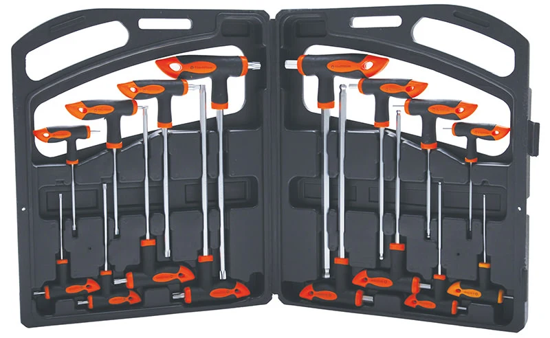 SET 16 PEZZI, CHIAVI MASCHIO ESAGONALI E TORX CON IMPUGNATURA BGS90